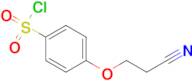 4-(2-Cyano-ethoxy)-benzenesulfonyl chloride