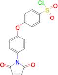 4-[4-(2,5-Dioxo-2,5-dihydro-pyrrol-1-yl)-phenoxy]-benzenesulfonyl chloride