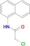 2-Chloro-N-naphthalen-1-yl-acetamide