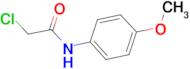 2-Chloro-N-(4-methoxy-phenyl)-acetamide