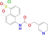 (5-Chlorosulfonyl-naphthalen-1-yl)-carbamic acidpyridin-3-ylmethyl ester