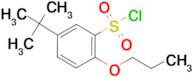 5-tert-Butyl-2-propoxy-benzenesulfonyl chloride