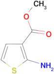 Methyl 2-aminothiophene-3-carboxylate