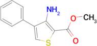 Methyl 3-amino-4-phenylthiophene-2-carboxylate