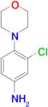 N-(4-Amino-2-chlorophenyl)morpholine