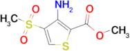 Methyl 3-amino-4-(methylsulphonyl)thiophene-2-carboxylate