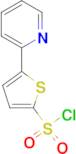 5-Pyrid-2-ylthiophene-2-sulfonyl chloride