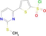 5-[2-(Methylthio)pyrimidin-4-yl]thiophene-2-sulfonyl chloride