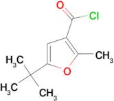 5-tert-Butyl-2-methylfuran-3-carbonyl chloride