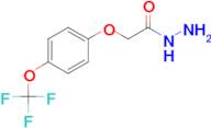 4-(Trifluoromethoxy)phenoxyacetic acid hydrazide