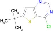 6-t-Butyl-4-chlorothieno[3,2-d]pyrimidine