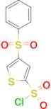 4-(Benzenesulfonyl)thiophene-2-sulfonylchloride