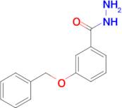 3-Benzyloxybenzhydrazide