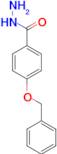 4-Benzyloxybenzhydrazide