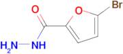 5-Bromo-2-furoic acid hydrazide