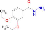 3,4-Diethoxybenzhydrazide