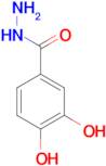 3,4-Dihydroxybenzhydrazide