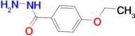 4-Ethoxybenzhydrazide