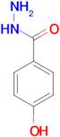 4-Hydroxybenzhydrazide