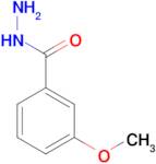 3-Methoxybenzhydrazide