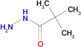Pivalic acid hydrazide