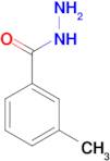 m-Toluic acid hydrazide