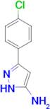 5-(4-Chlorophenyl)-2H-pyrazol-3-ylamine