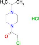 2-Chloro-1-(4-isopropyl-piperazin-1-yl)-ethanone hydrochloride