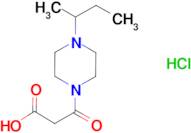 3-(4-sec-Butylpiperazin-1-yl)-3-oxopropionic acid hydrochloride