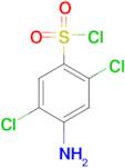 4-Amino-2,5-dichloro-benzenesulfonyl chloride