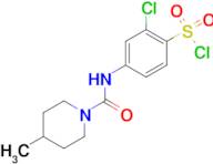 2-Chloro-4-[(4-methyl-piperidine-1-carbonyl)-amino]-benzenesulfonyl chloride