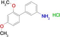 2',4'-Dimethoxy-biphenyl-3-ylaminehydrochloride