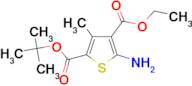 5-Amino-3-methyl-thiophene-2,4-dicarboxylic acid2-tert-butyl ester 4-ethyl ester