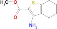 3-Amino-4,5,6,7-tetrahydro-benzo[b]thiophene-2-carboxylic acid methyl ester