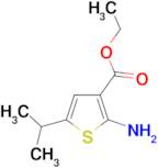 2-Amino-5-isopropyl-thiophene-3-carboxylic acid ethyl ester