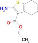 2-Amino-4,5,6,7-tetrahydro-benzo[b]thiophene-3-carboxylic acid ethyl ester