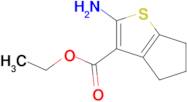 2-Amino-5,6-dihydro-4H-cyclopenta[b]thiophene-3-carboxylic acid ethyl ester