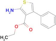 2-Amino-4-phenyl-thiophene-3-carboxylic acid ethyl ester