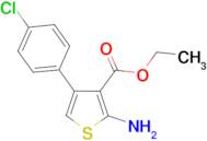2-Amino-4-(4-chloro-phenyl)-thiophene-3-carboxylic acid ethyl ester