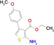 2-Amino-4-(4-methoxyphenyl)-thiophene-3-carboxylic acid ethyl ester