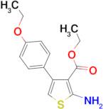 2-Amino-4-(4-ethoxy-phenyl)-thiophene-3-carboxylicethyl ester