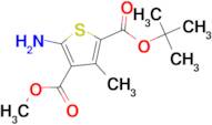 Methyl 2-amino-4-methyl-5-(tert-butoxycarbonyl)-thiophene-3-carboxylate