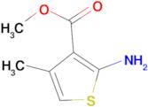 Methyl 2-amino-4-methyl-3-thiophenecarboxylate