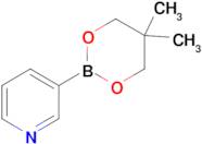 3-(5,5-Dimethyl-1,3,2-dioxaborinan-2-yl)pyridine