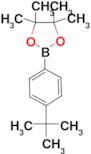 2-(4-tert-Butylphenyl)-4,4,5,5-tetramethyl-1,3,2-dioxaborolane