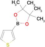 3-(4,4,5,5-Tetramethyl-1,3,2-dioxaborolan-2-yl)-thiophene