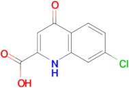 7-Chloro-4-hydroxy-quinoline-2-carboxylic acid