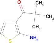 1-(2-Aminothiophene-3-yl)-2,2-dimethylpropan-1-one