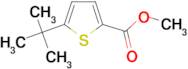 Methyl 5-tert-butyl-thiophene-2-carboxylate