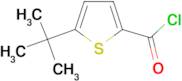 5-tert-Butyl-thiophene-2-carbonyl chloride